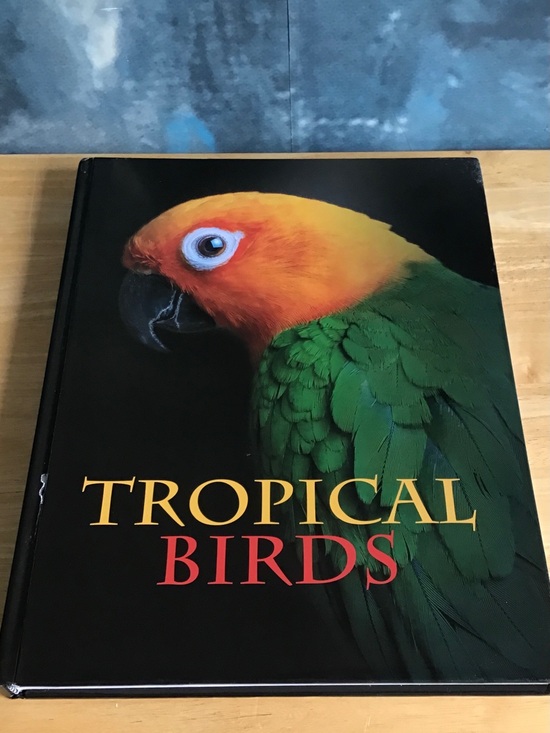 Amber Books Ltd. Other - 9” X 12” Tropical Birds 224 Page Hardcover Book - Most Pages are Photos of Birds